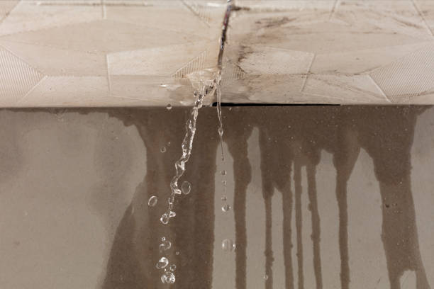 Professional Water Damage Inspection technician working in Pinehurst, MA
